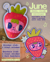 Load image into Gallery viewer, Sticker Club ⋆｡°✩
